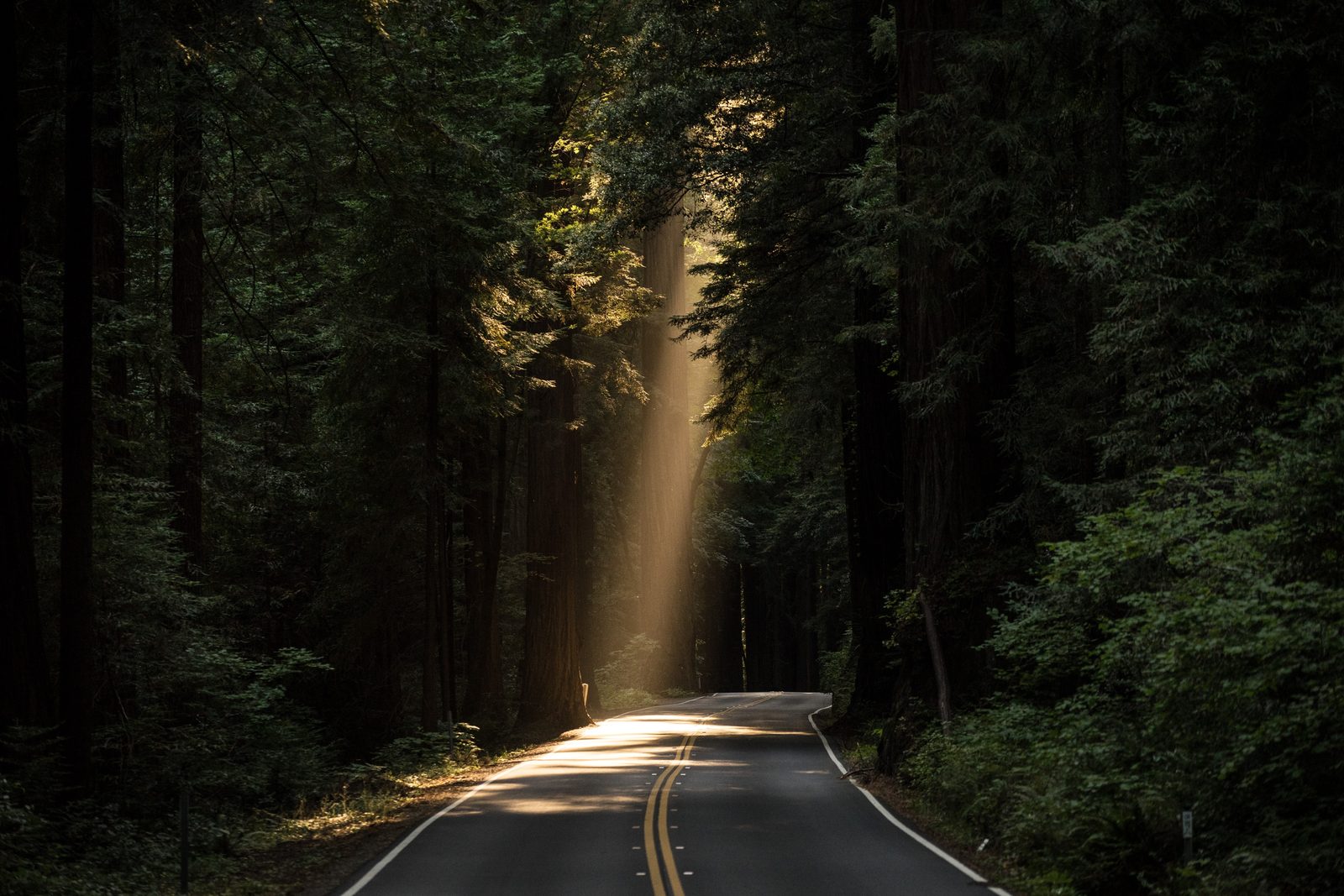 John Towner - Unsplash